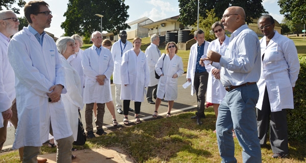 BecA-ILRI Hub scientist Sita Ghimire explains ongoing Swedish funded research on climate change mitigation through the use of improved Brachiaria grass as preferred livestock feed to the Sida Research Council committee members (photo: ILRI/Samuel Mungai)